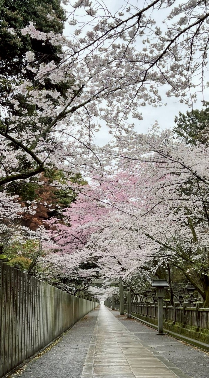 木柵里土風舞班