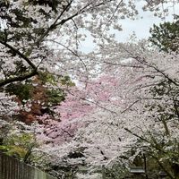 木柵里土風舞班