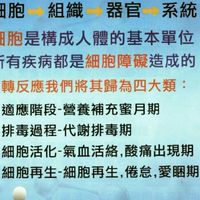 細胞免疫療法研討會