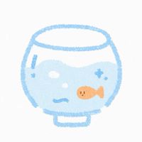 泡泡瑪莉魚｜送養日常