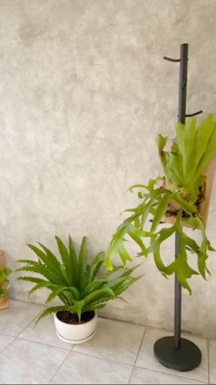 花蓮油漆/防水/藝術塗料