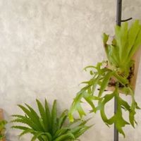 花蓮油漆/防水/藝術塗料