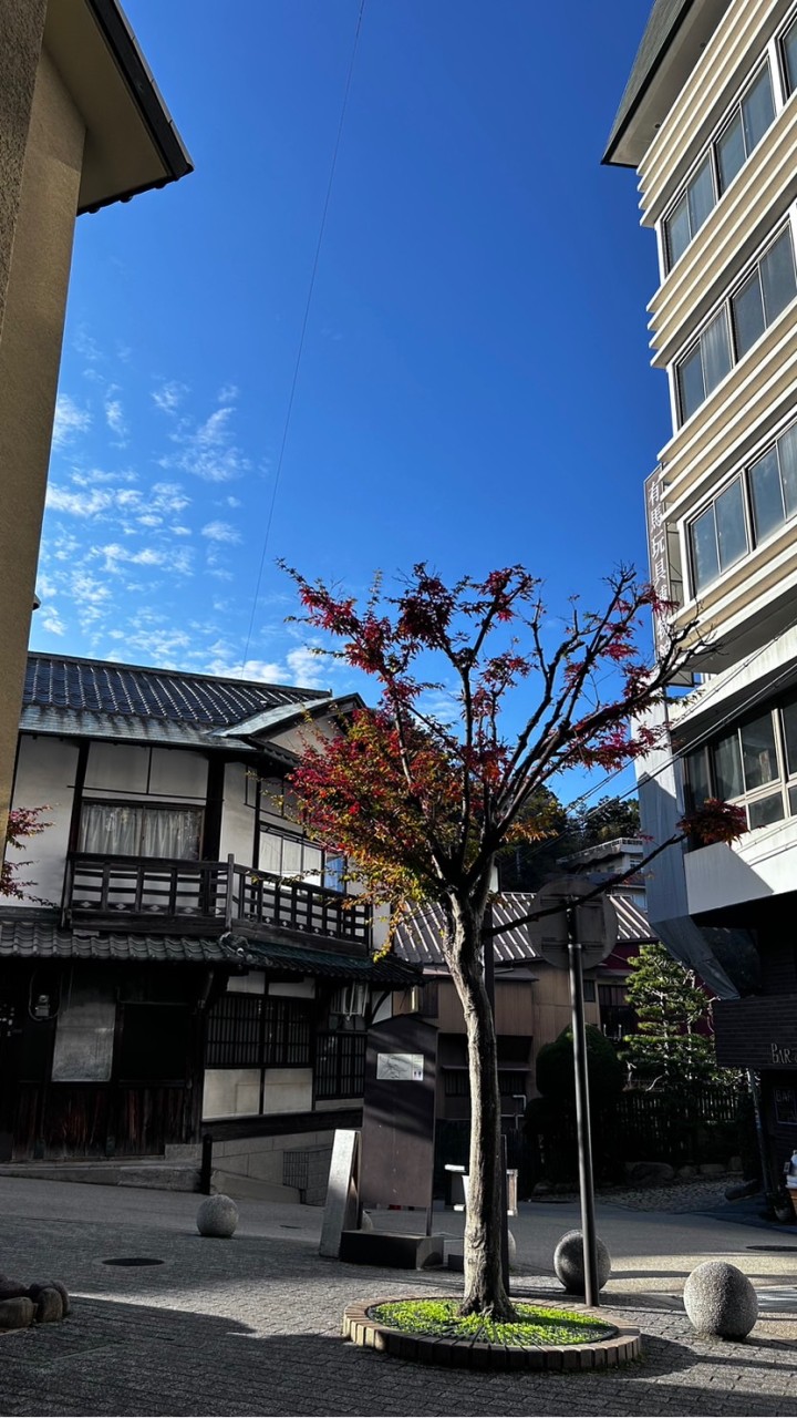 日本大阪飛田新地組合料理深夜旅行團