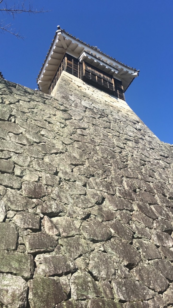 30+40+隨意的渡口