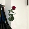 歡迎帥🈹妹📄來嗑CP