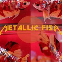 Metallic Fish Betta Bid