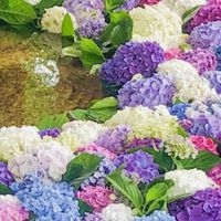 明日も笑っていたいから🍀‪𓈒 𓂂𓏸