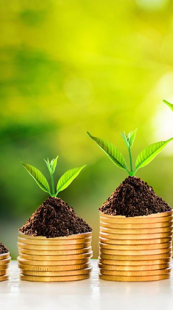 นักลงทุนสายชิว Chill Investor Forex 42895