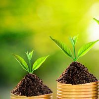 นักลงทุนสายชิว Chill Investor Forex 42895