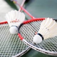 BADMINTON EMBA