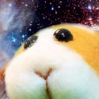 第二十五夜的真心朋友群