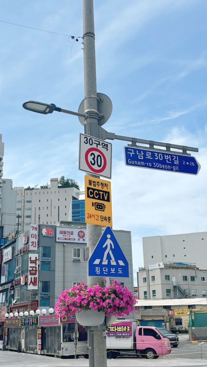 旅遊資訊 早鳥優惠 郵輪 團體旅遊優惠群