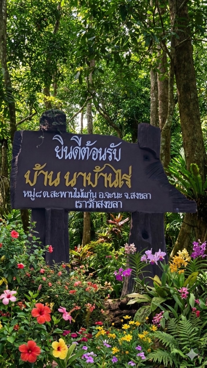หมู่ 8 นาบ้านไร่