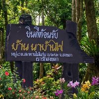 หมู่ 8 นาบ้านไร่