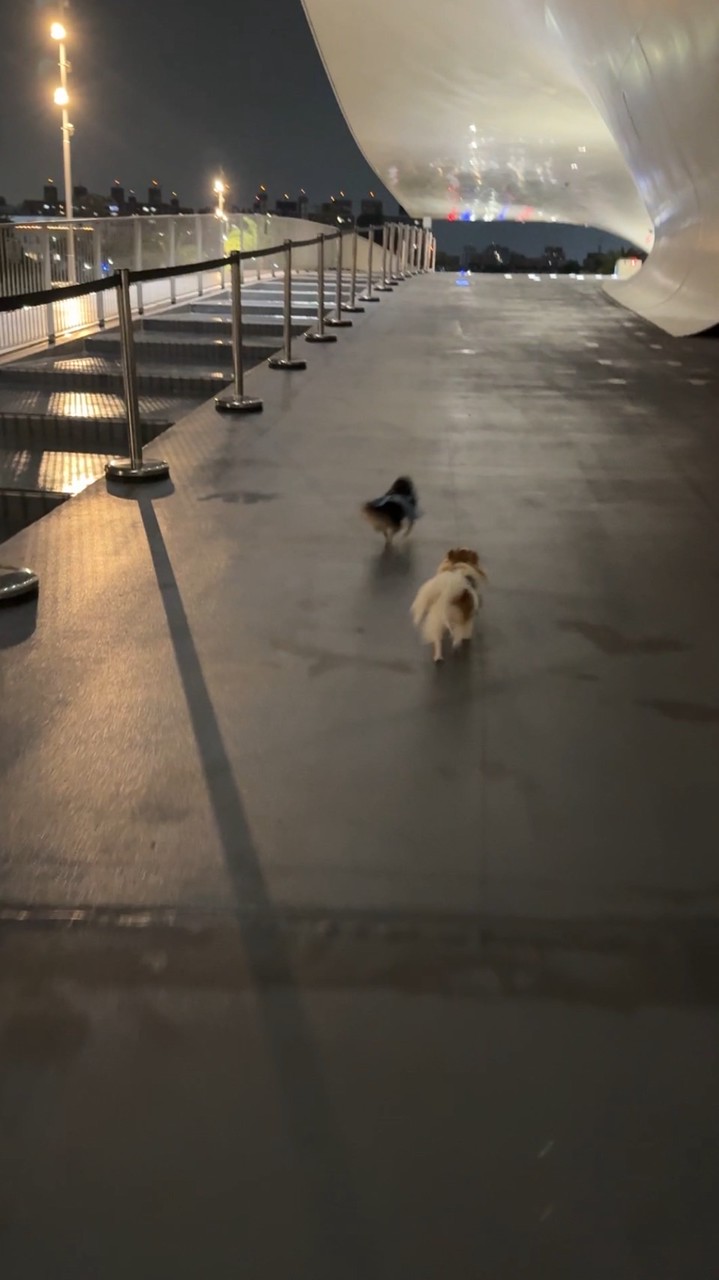WeRun衛武營・輕跑團