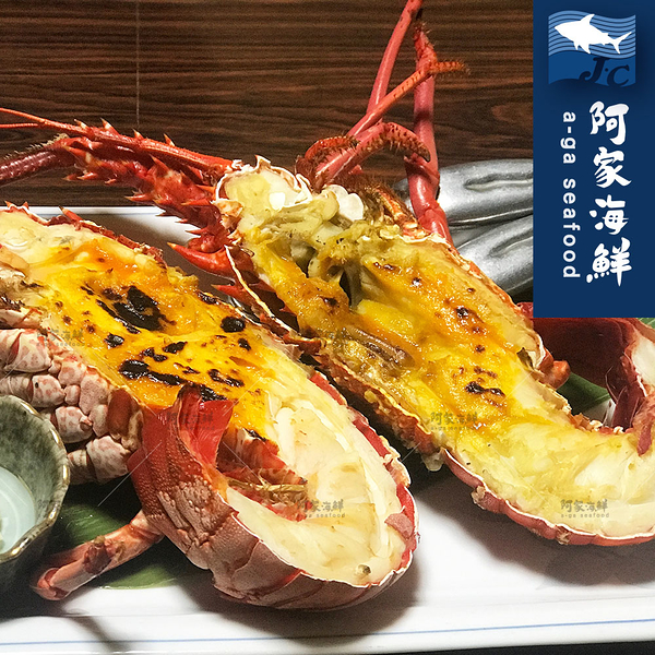 【阿家海鮮】頂級生凍龍蝦700g±10%/尾 (辦桌大尺寸)