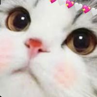 คาเฟ่แมว༼ つ ◕◡◕ ༽つ
