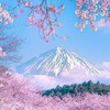 軽度知的障害さんの困り事Ⅱ