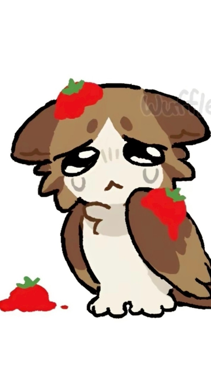 meowl pirate chat