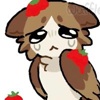 meowl pirate chat