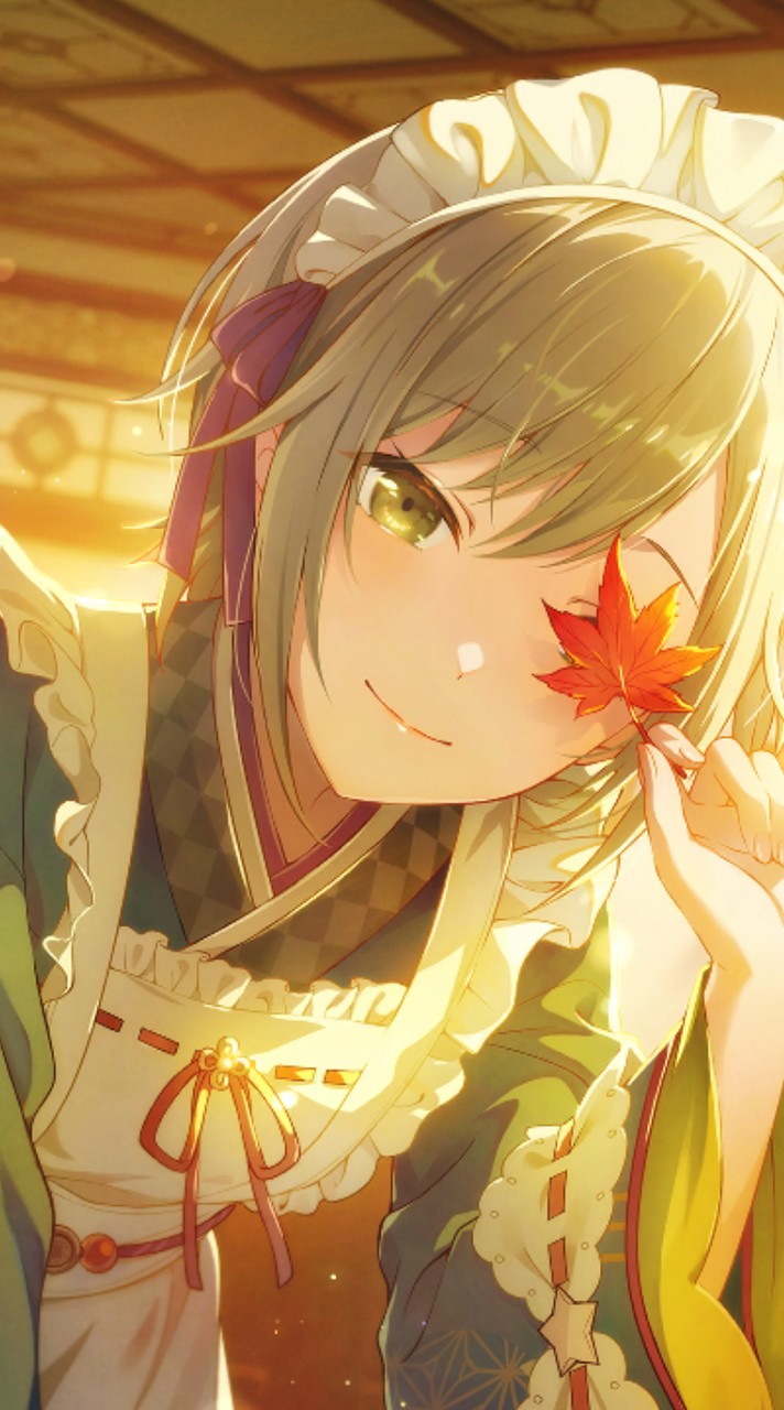 プロセカオプチャで