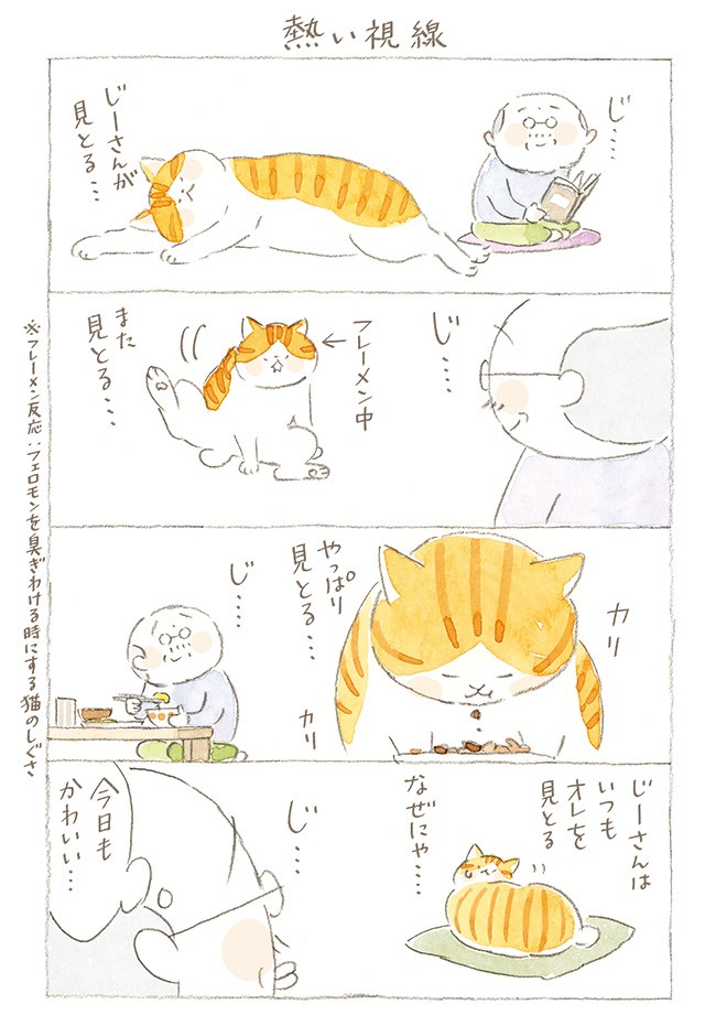 タマが感じる 大吉じぃちゃんの 熱い視線 ねことじいちゃん 第65回