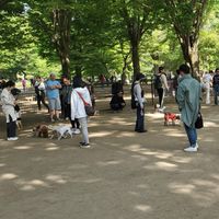 🐶🐾代々木公園ドックラン　#犬友 #オフ会 #お見合い #東京都 #渋谷区