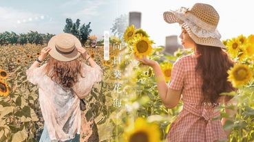 2019全台最美向日葵花海！快趁假日到向日葵花田打卡拍照吧~