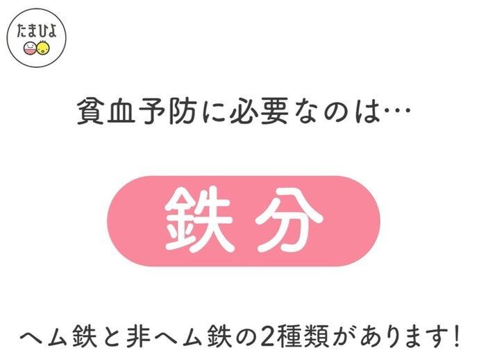 動画 貧血予防 改善に 上手に鉄分をとる方法