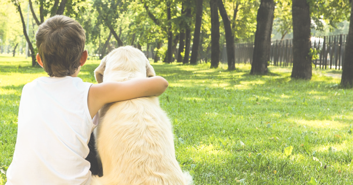 寵物健保＿手術