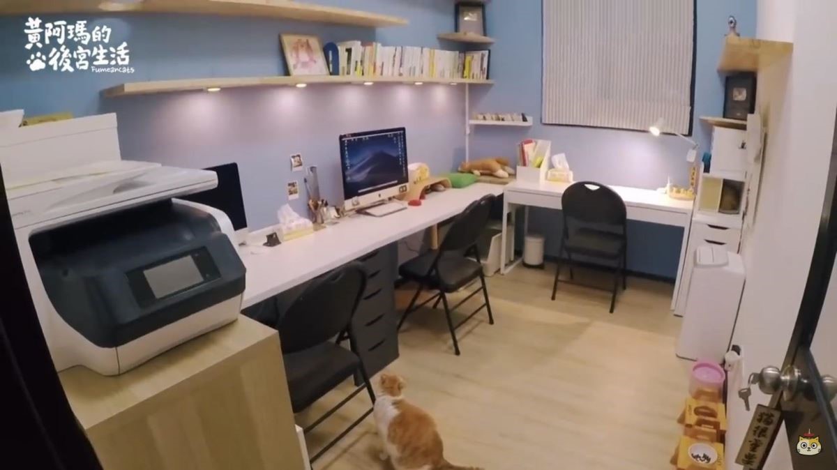 志銘與狸貓工作室的before&after，以藍色為背景，不僅拍攝好看，更有讓人頭腦冷靜、療癒的效果。