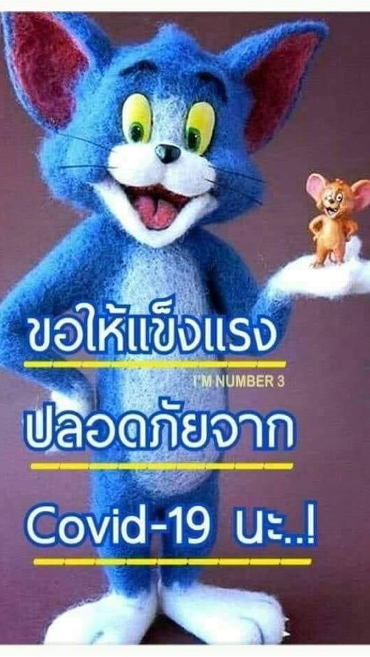 กลุ่มคน หมู่6 เกาะกลาง