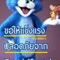 กลุ่มคน หมู่6 เกาะกลาง