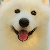 永豐期貨Jocelyn 游涴喻期權交易分享客戶專區