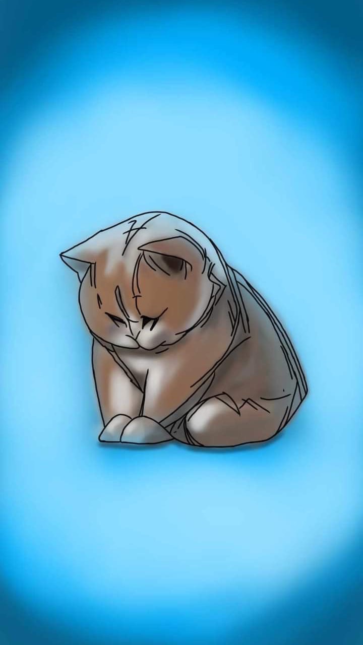 HAO浩🐈‍⬛寵物