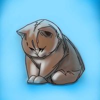 HAO浩🐈‍⬛寵物