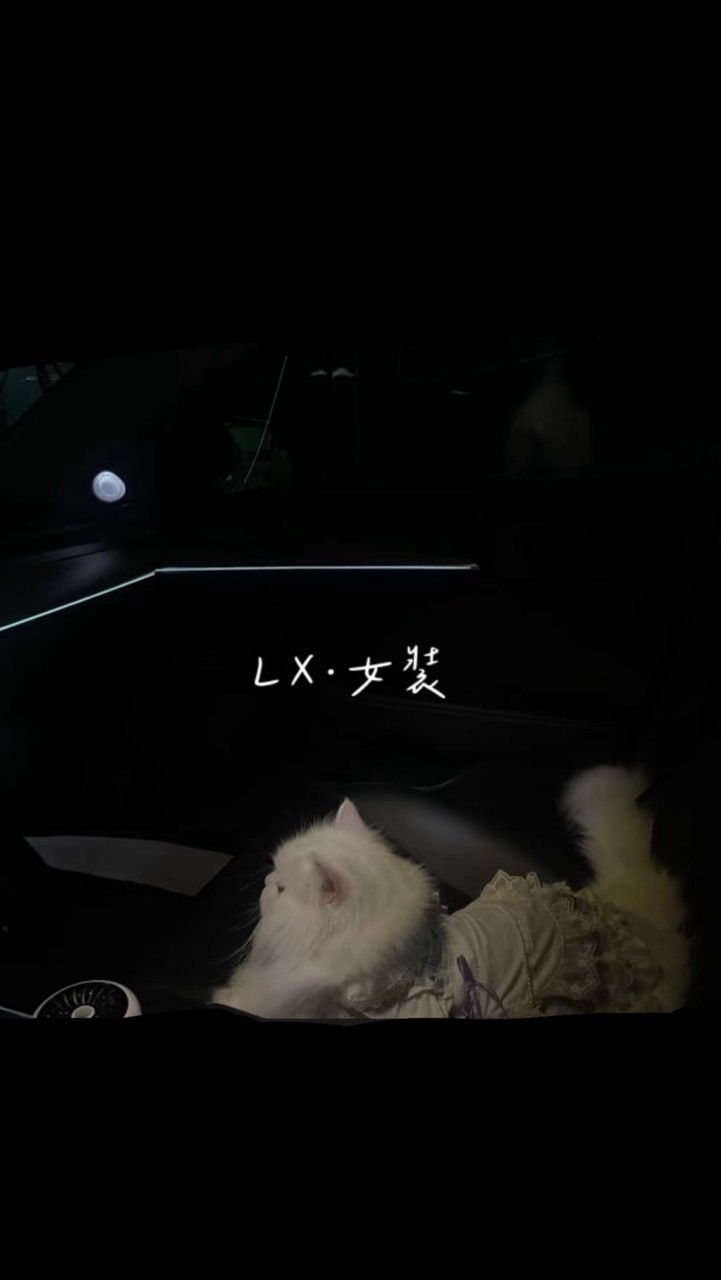 𝑳𝑿•女裝•批發代理