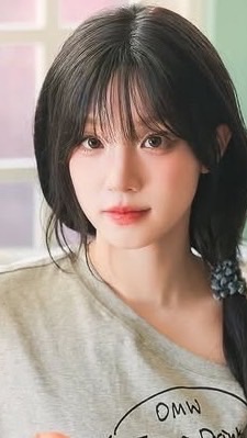 K-pop 追星群