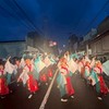 京都チーム「櫻嵐洛(さらら)」 立命館大学よさこいサークル 26新歓グル