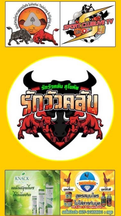 SFคลับวัวชน