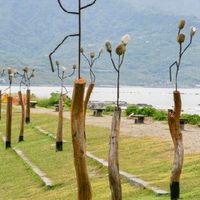 設計糧倉社群