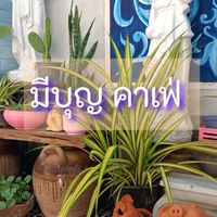 มีบุญ คาเฟ่