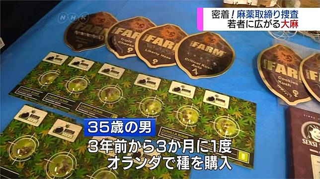 日本自栽大麻案增加緝毒過程大揭密 民視新聞網 Line Today