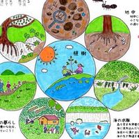自然のきもち会員チャット