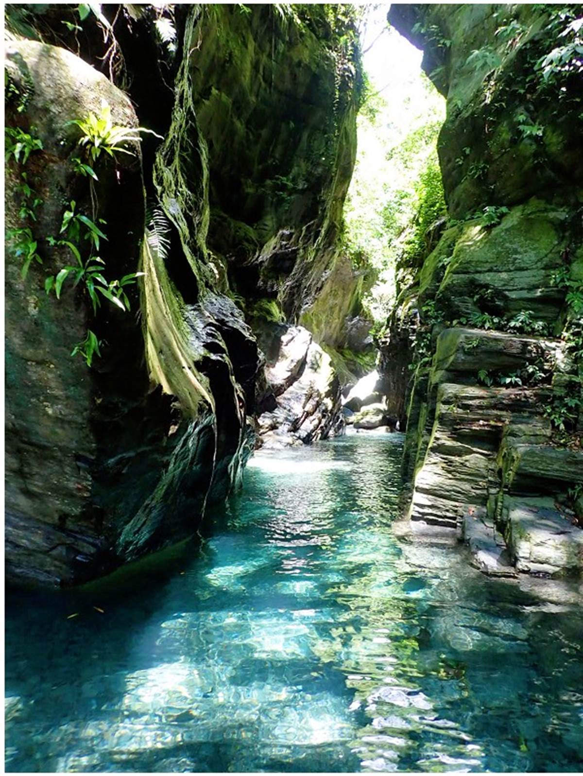 台東不只三仙台！洗版IG５美拍祕境：復古屋頂卡飛天公車、最美海景候車亭