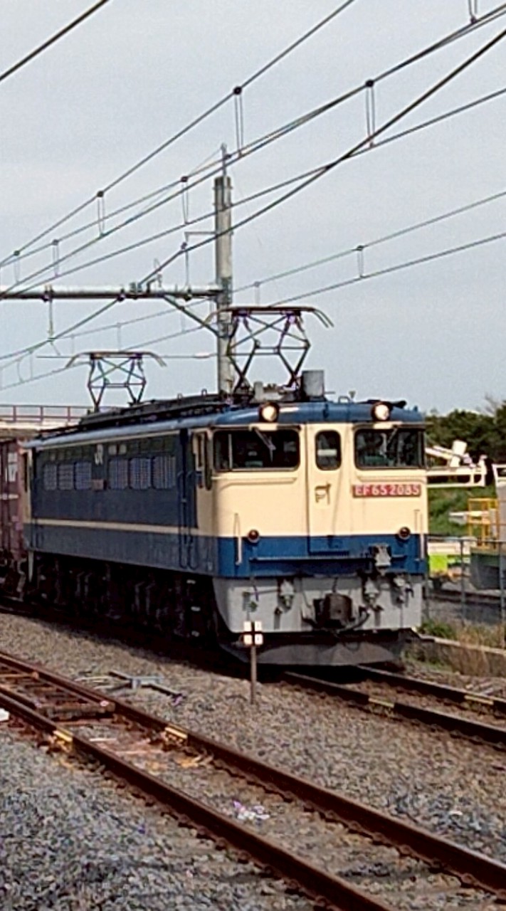 新電車大好き(ロブロックス配信)
