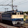 新電車大好き(ロブロックス配信)