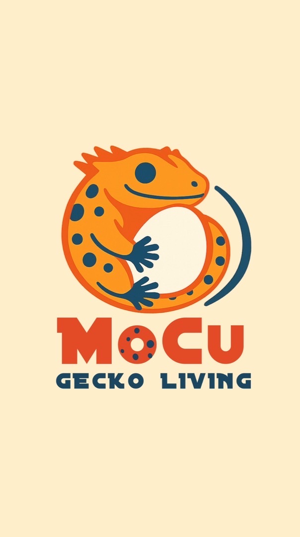 MoCu Gecko Living🦎