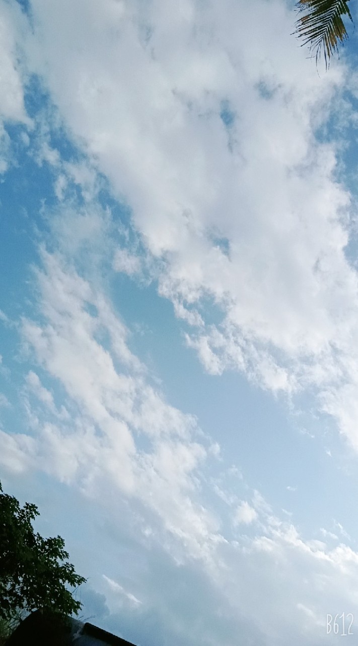 國小國中課業討論❤️