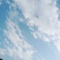 國小國中課業討論❤️